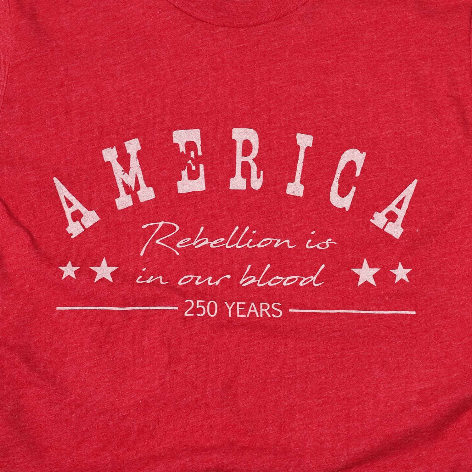 America 250 years strong close up